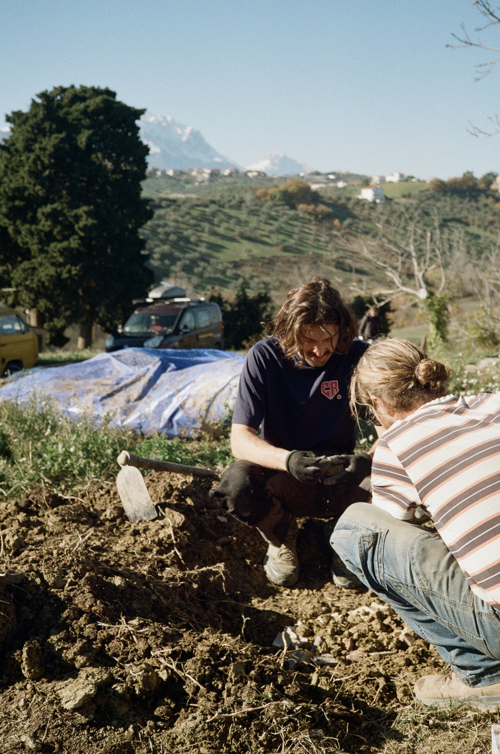 Team working together in the field