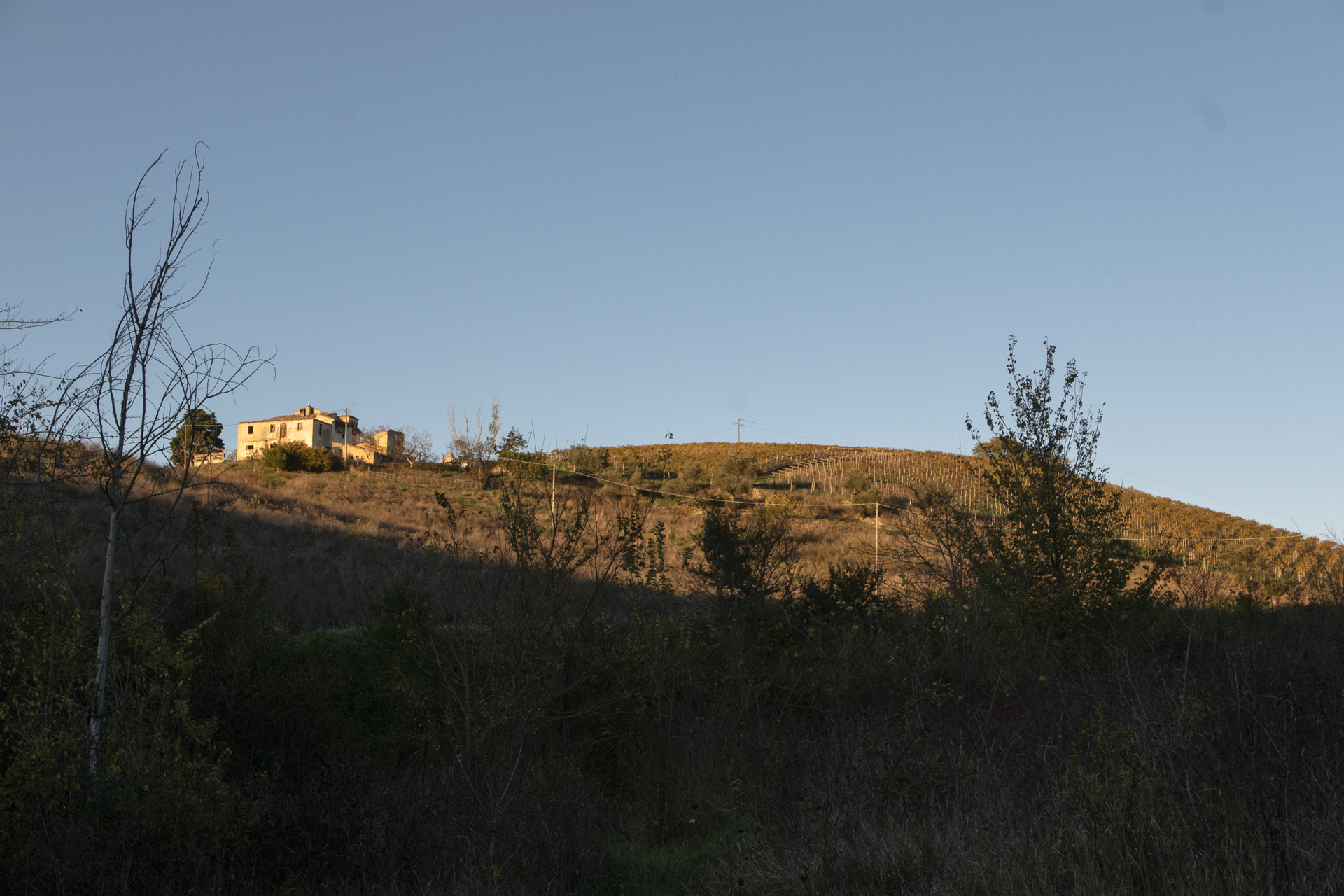 Sentieri farmhouse on the hillside at dusk