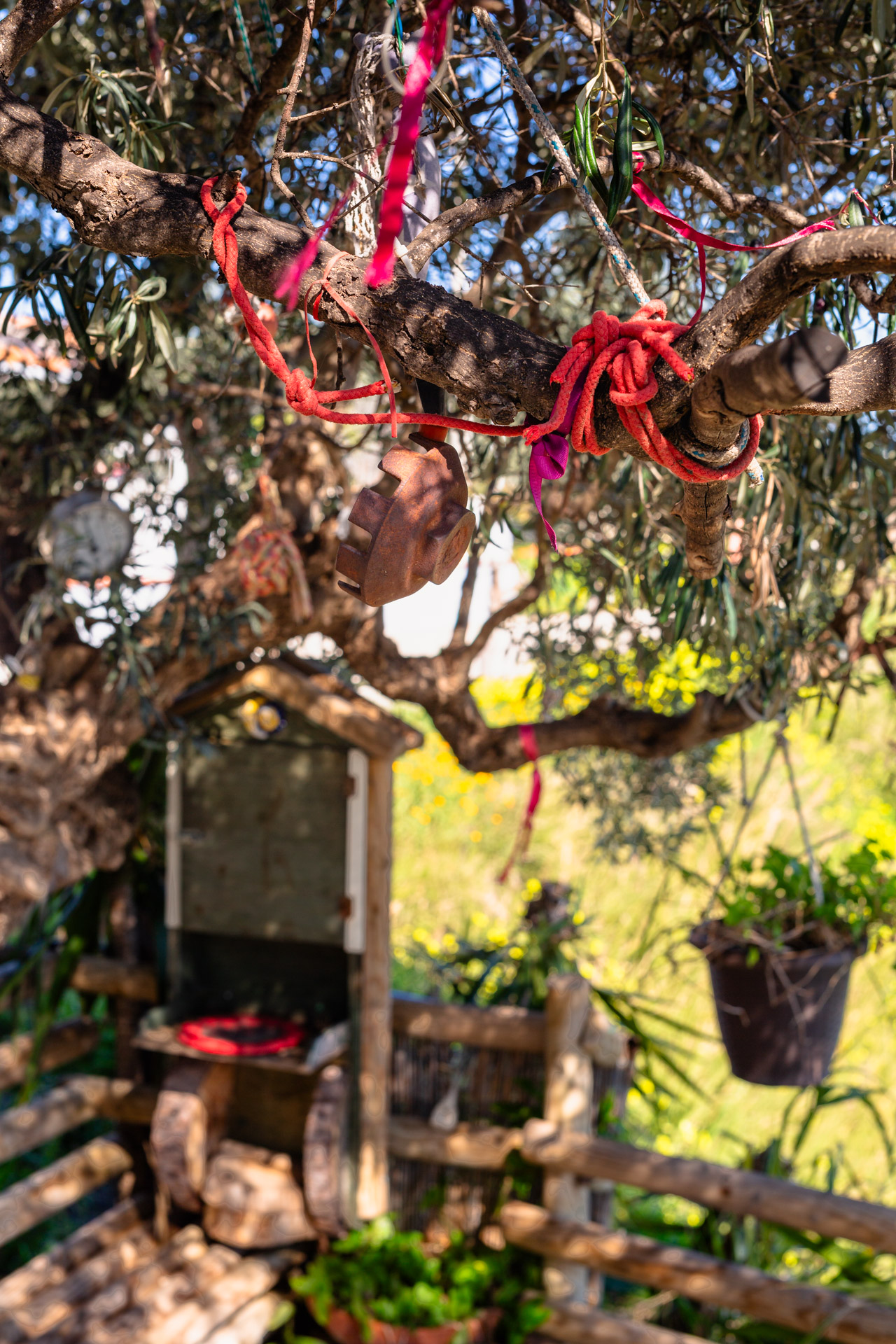 Colourful ribbons and objects hanging from a tree