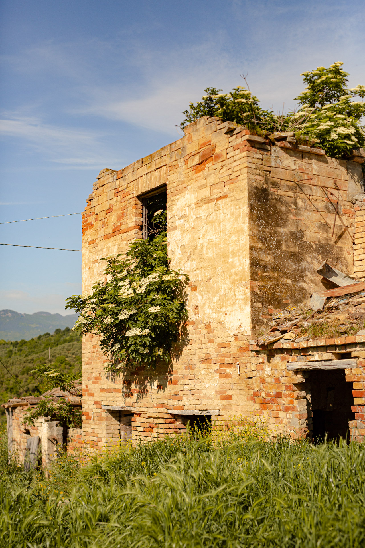 A Walk from Elsewhere