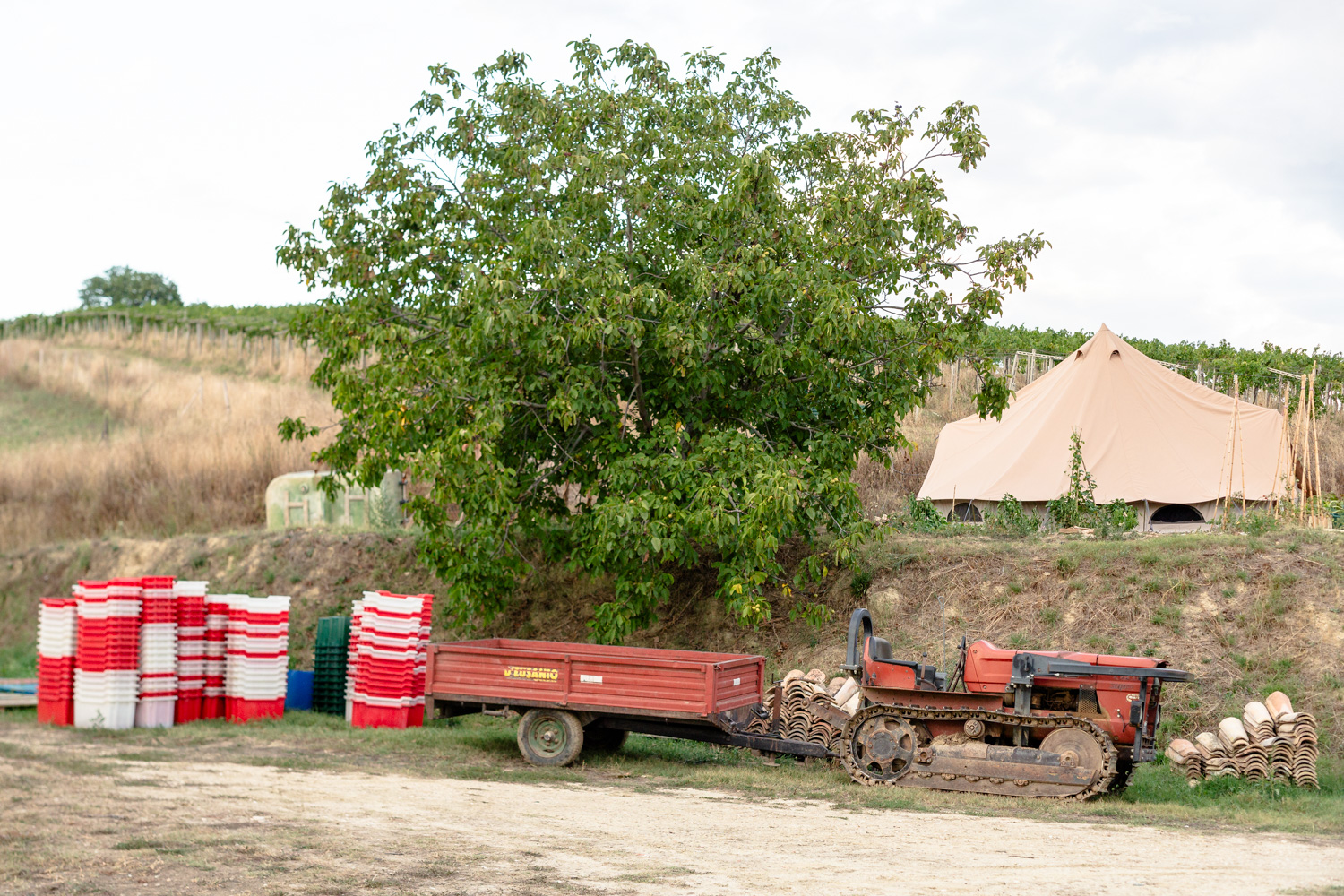 Harvest equipment and tractor at the vineyard