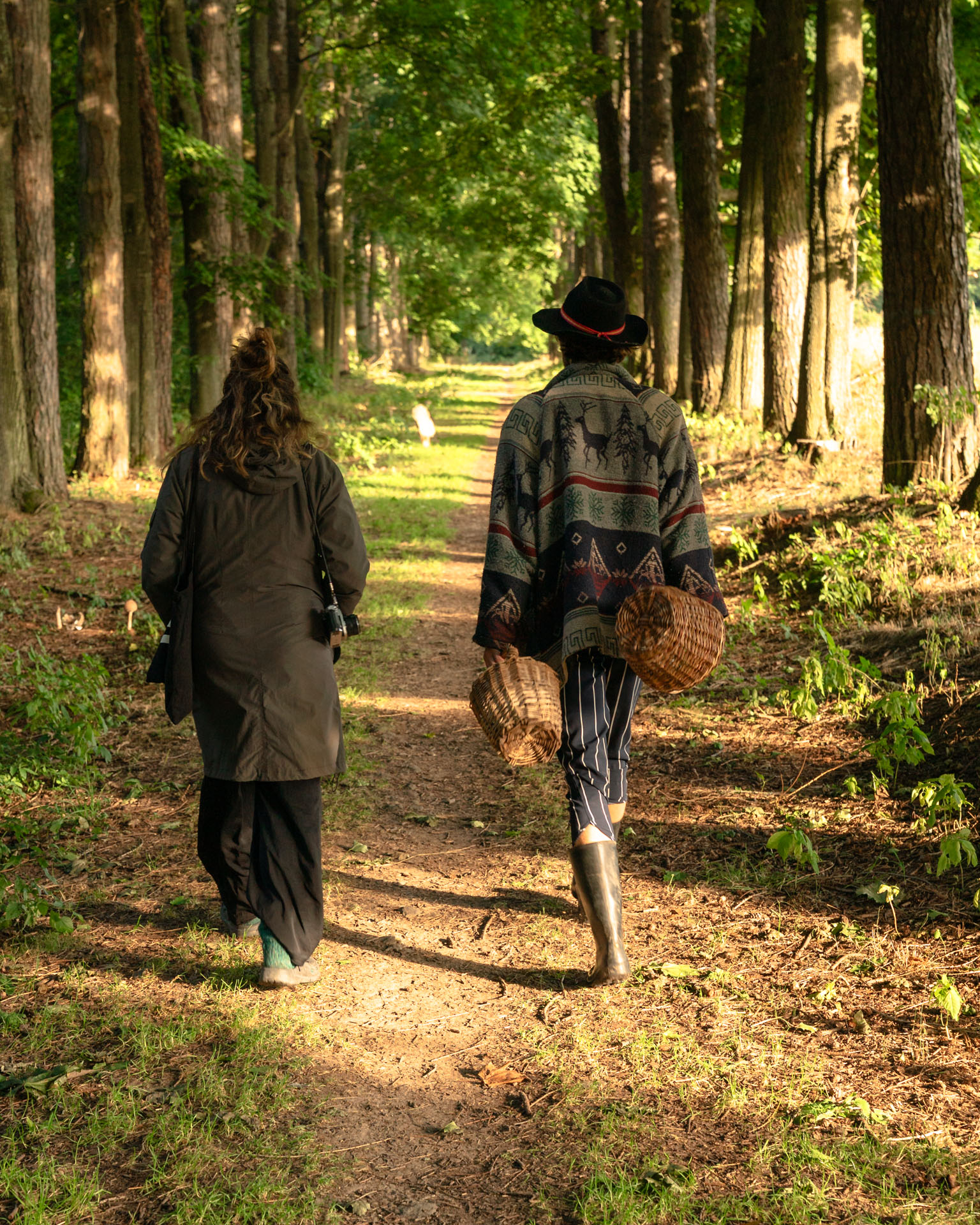 Two people walking along a path through the woods