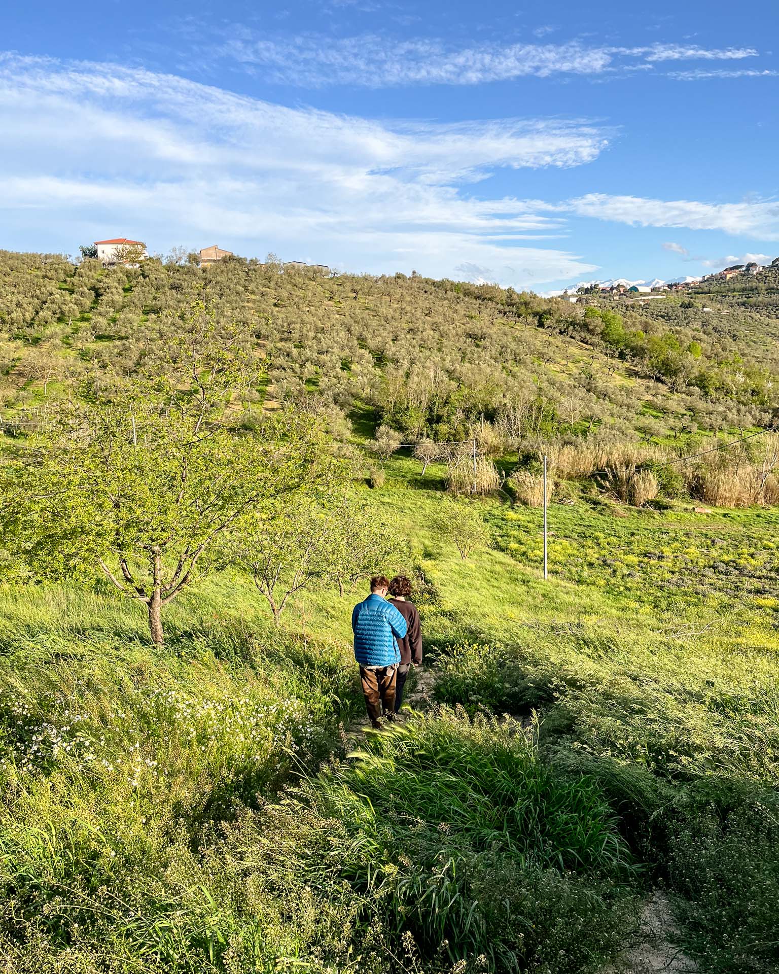Person walking on a hillside at Sentieri