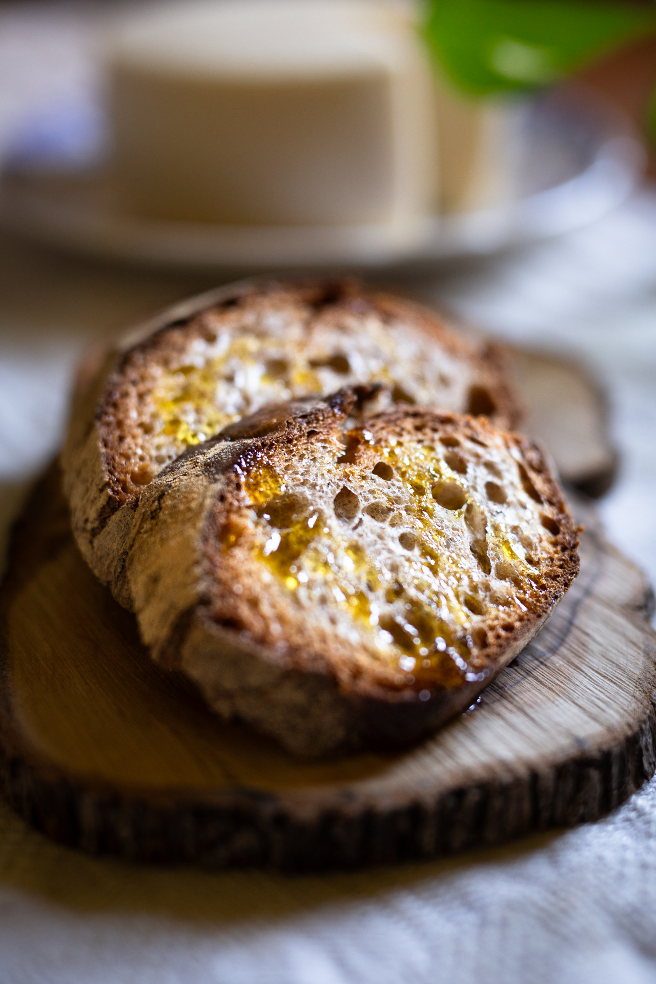 Olive branches with green olives