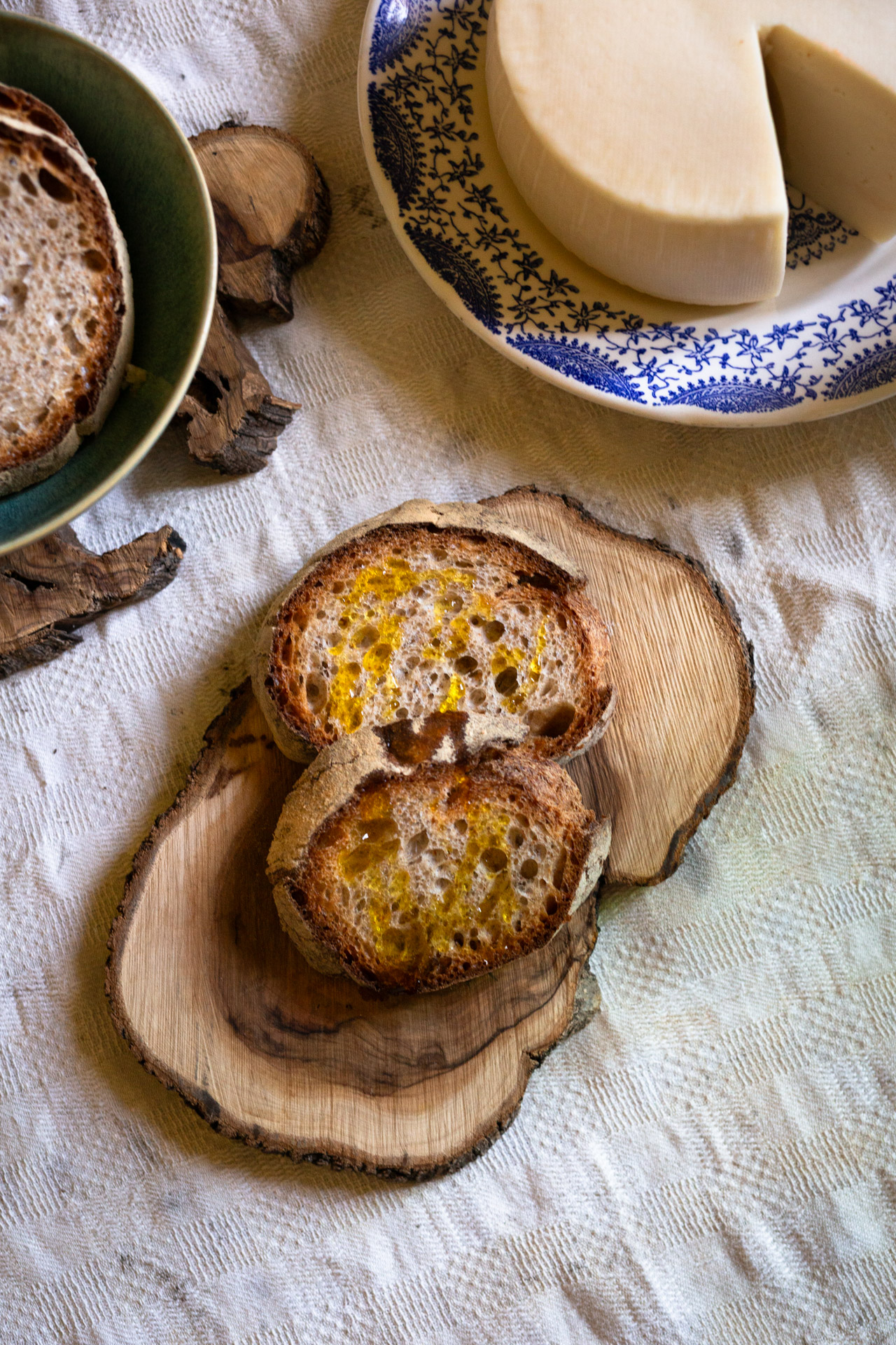 Olive oil bottle in olive grove