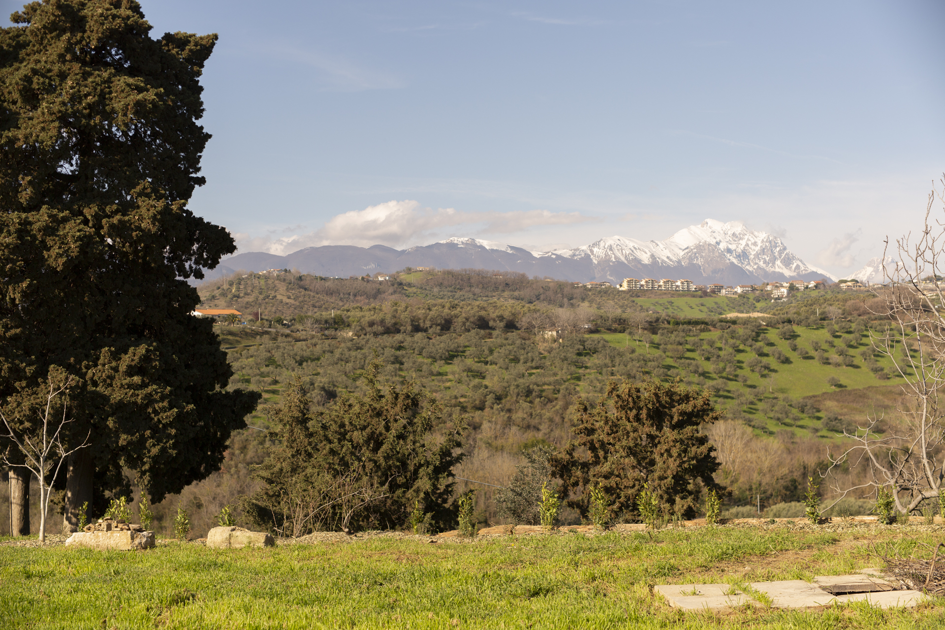 View across the land toward snow-capped mountains