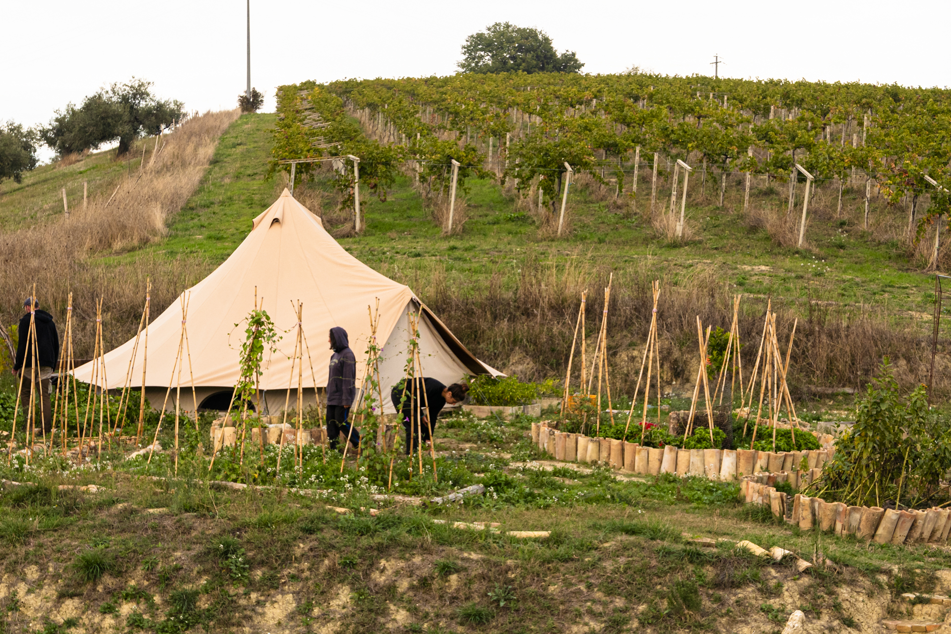 Tent and garden terraces on the hillside